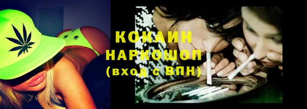 дживик Верхний Тагил