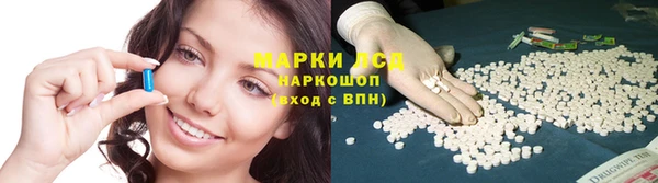 дживик Верхний Тагил