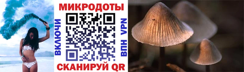 Галлюциногенные грибы GOLDEN TEACHER  Купить где  Невельск 